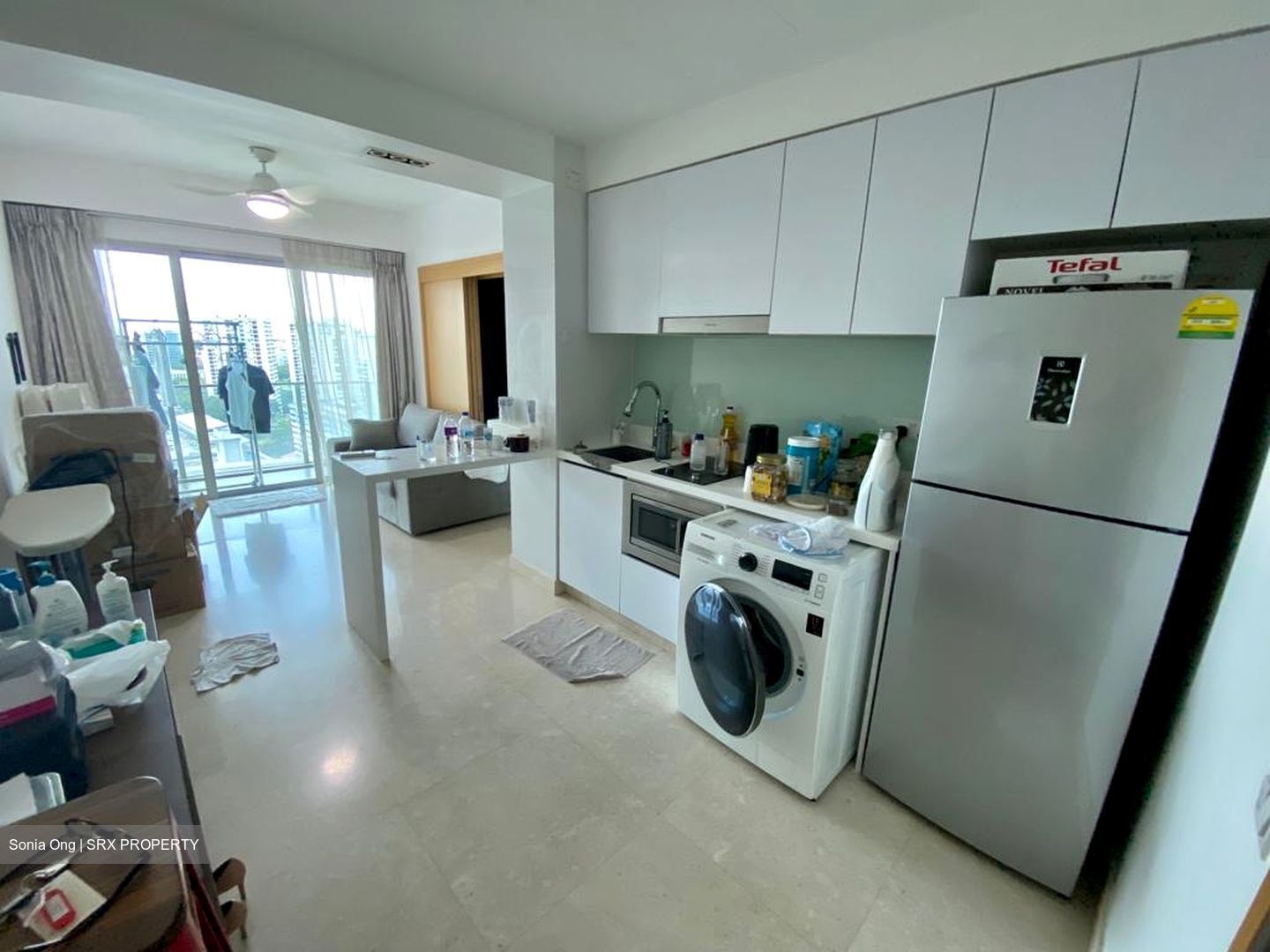 Eight Riversuites (D12), Condominium #438488571